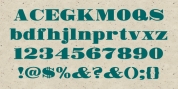 MPI Bodoni Ultra font download