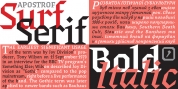 Surf Serif Pro font download