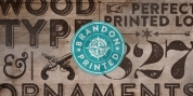 Brandon Printed font download