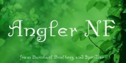 Angler NF font download