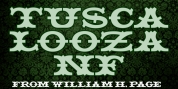 Tuscalooza NF font download