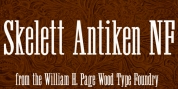 Skelett Antiken NF font download