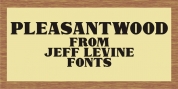 Pleasantwood JNL font download