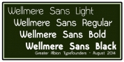 Wellmere Sans font download