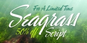 Seagrass BF font download