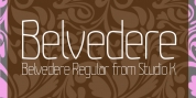 Belvedere font download