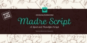 Madre Script font download