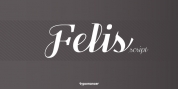 Felis Script font download