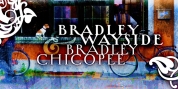 Bradley font download