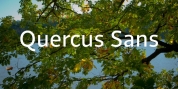 Quercus Sans font download