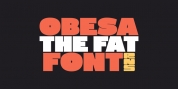 RNS Obesa font download