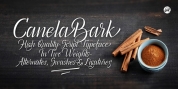 Canela Bark font download
