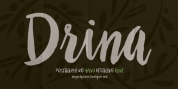 Drina font download