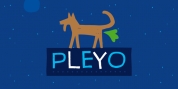 Pleyo font download