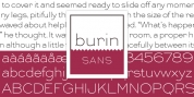 Burin Sans font download