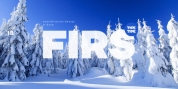 TT Firs font download