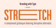 Bw Stretch font download