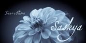 Saskya font download