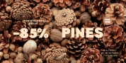 TT Pines font download