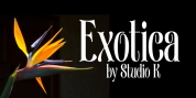 Exotica font download