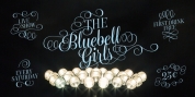 Bluebell font download