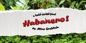 Habanero font download