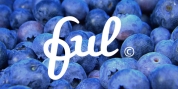 Ful • Fruitful & Universal Labels font download