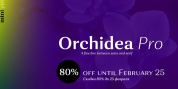 Orchidea Pro font download