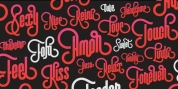 Vinyle font download