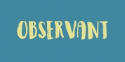 Observant font download