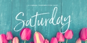 Saturday Script font download