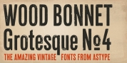 Wood Bonnet Grotesque No 4 font download