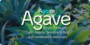 Agave font download