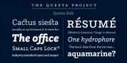 Questa Slab font download