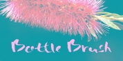 Bottle Brush font download