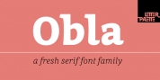 Obla font download