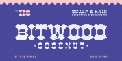 YWFT Bitwood font download