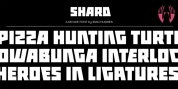 Shard font download