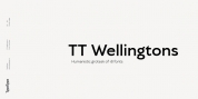 TT Wellingtons font download