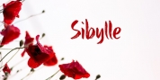 Sibylle font download