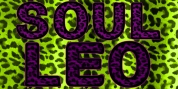 Soul Leo font download