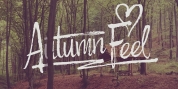 Autumn Feel font download