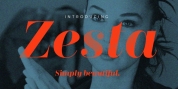 Zesta font download