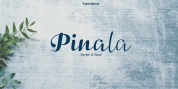 Pinala font download