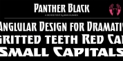 Panther Black font download