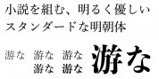 tracking: {
            'Country Code': 'US',
            'Language Code': 'EN-US',
            'Email Hash': 'unknown',
            'Vendor User Id': 'unknown',
            'Vendor Id': 'unknown',
            'Customer Type': '',
            'Offer Code font download