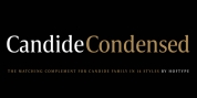 tracking: {
            'Country Code': 'US',
            'Language Code': 'EN-US',
            'Email Hash': 'unknown',
            'Vendor User Id': 'unknown',
            'Vendor Id': 'unknown',
            'Customer Type': '',
            'Offer Code font download