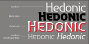 P22 Hedonic font download