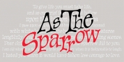 P22 Sparrow font download