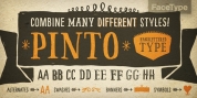 Pinto font download